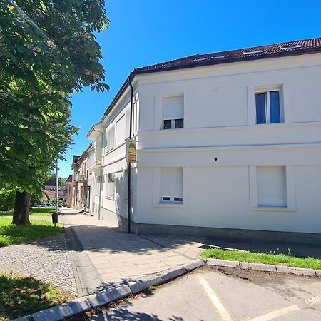 Rooms With A Parking Space Daruvar, Bjelovarska - 18842 Eksteriør bilde