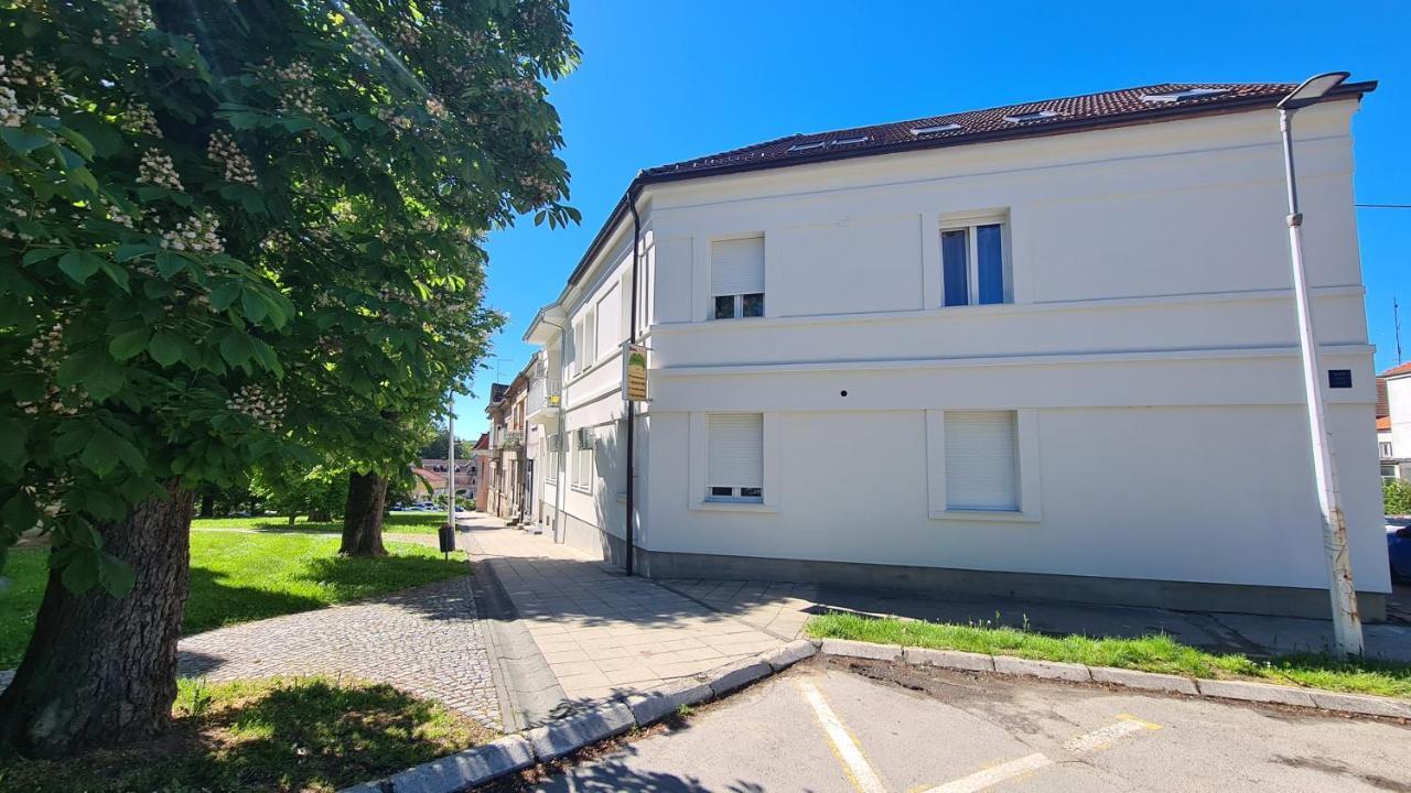 Rooms With A Parking Space Daruvar, Bjelovarska - 18842 Eksteriør bilde